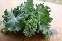 Curly_green_kale